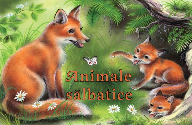 Animale salbatice |