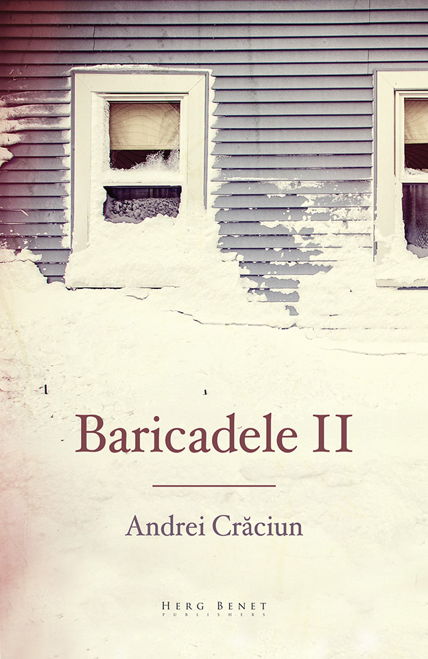 Baricadele II | Andrei Craciun