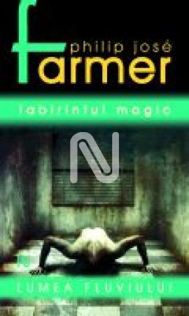 Labirintul magic (vol. 4)