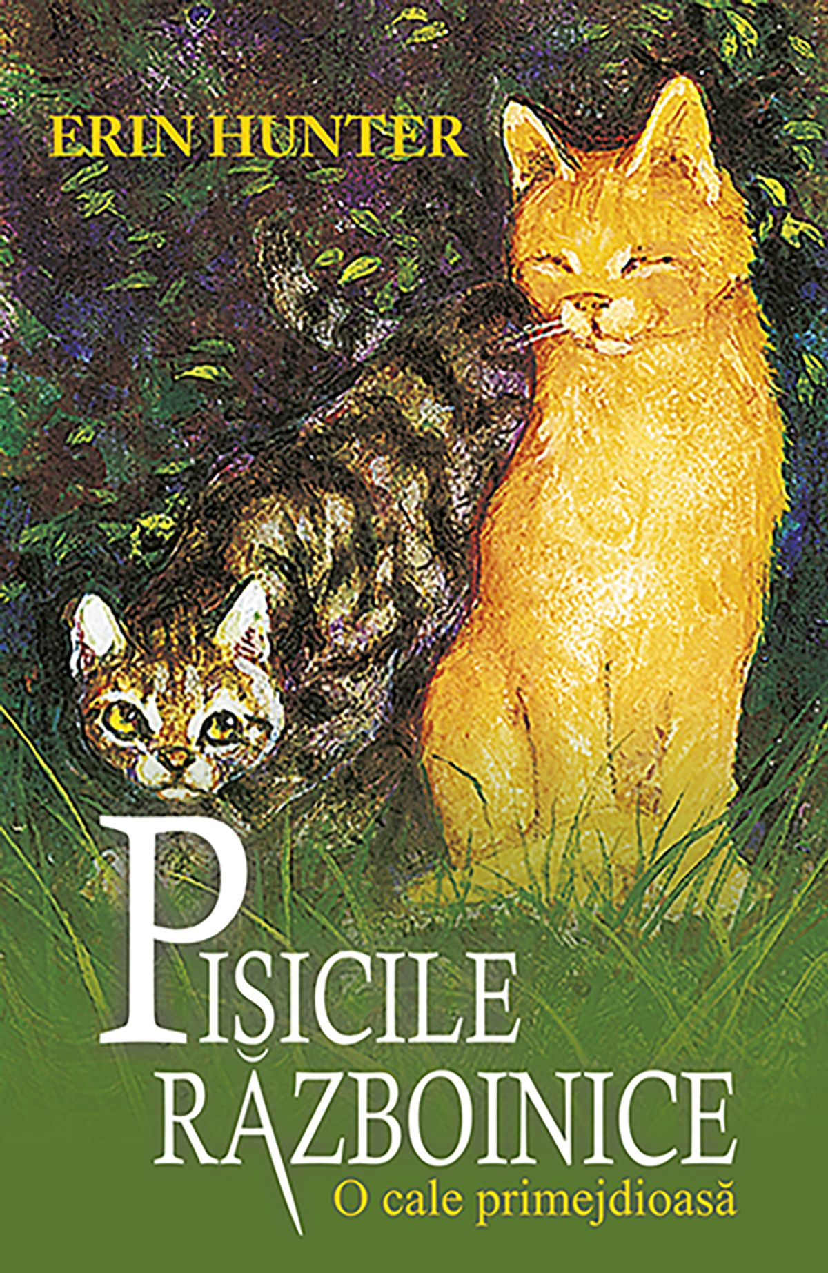 O cale primejdioasa  | Erin Hunter