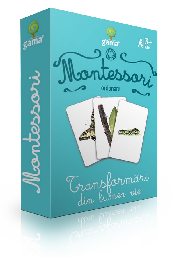 Ordonare. Transformari din lumea vie |