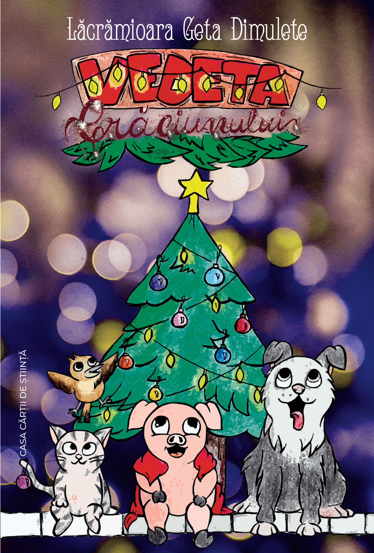 Vedeta Craciunului | Lacramioara Dimulete